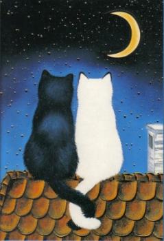 Grußkarte Katzen im Mondschein