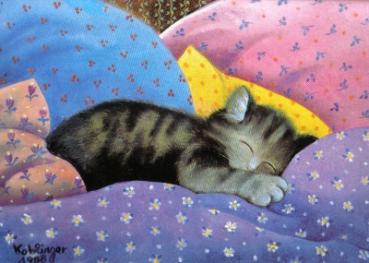 Postkarte schlafendes Kätzchen