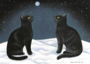 Postkarte Katzen unterm Nachthimmel