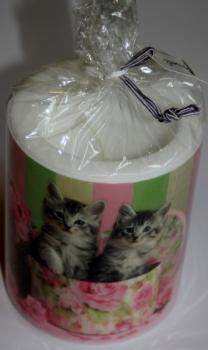 Dekorkerze Katzen in der Box