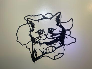 Kätzchen Wandkunst Wallart Fenster-Tür Schild