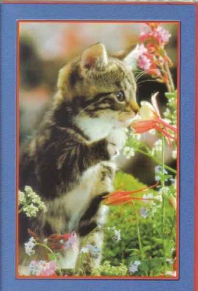 Grußkarte Katze im Blumenbeet