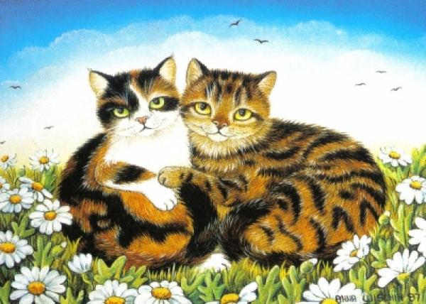 Postkarte Katzen im Margeritenfeld