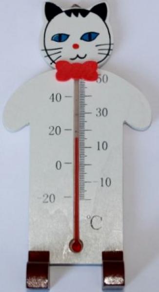 Thermometer  Katze